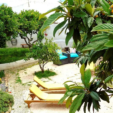 招待所 Casa Flor Do Mar