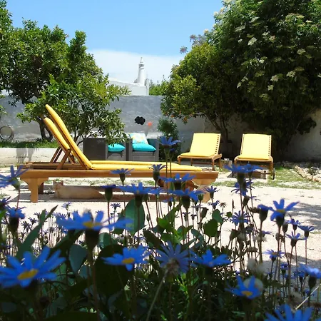 Гостевой дом Casa Flor Do Mar